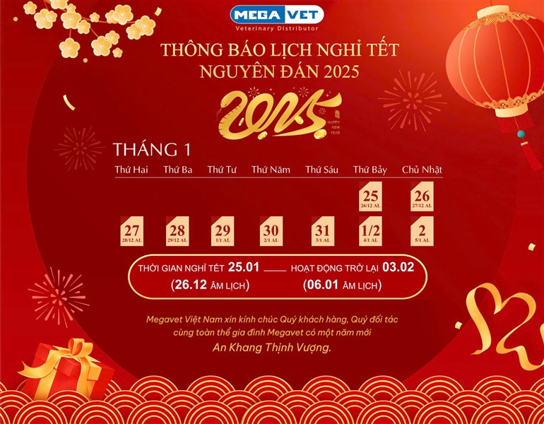 THÔNG BÁO LỊCH NGHỈ TẾT NGUYÊN ĐÁN 2025