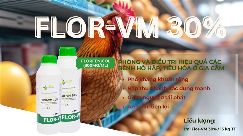 𝙁𝙇𝙊𝙍-𝙑𝙈 𝟯𝟬% - GIẢI PHÁP ĐẶC TRỊ BỆNH HÔ HẤP, TIÊU HÓA CHO GIA CẦM