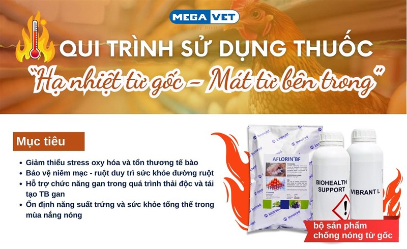 GIẢI PHÁP CHỐNG STRESS NHIỆT TỪ GỐC – BẢO VỆ VẬT NUÔI TRONG MÙA NÓNG