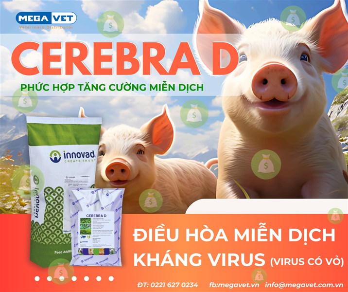 𝐂𝐄𝐑𝐄𝐁𝐑𝐀 𝐃 – Giải pháp điều hòa miễn dịch toàn diện cho vật nuôi