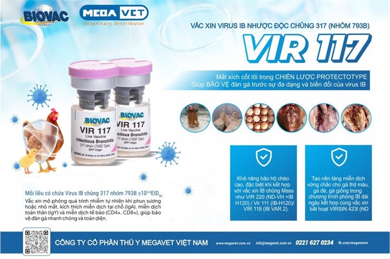 𝙑𝙄𝙍 𝟭𝟭𝟳 VŨ KHÍ MỚI CHỐNG LẠI BIẾN THỂ IB