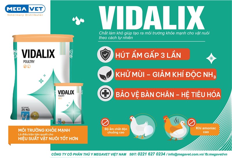 VIDALIX – Siêu phẩm hút ẩm, khử mùi chuồng trại hiệu quả vượt trội