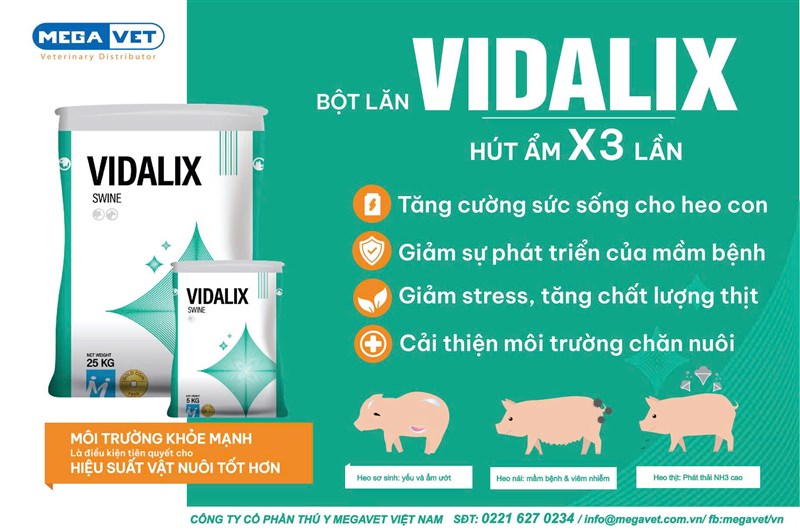 Bột Lăn VIDALIX SWINE – Tối Ưu Môi Trường Chuồng Trại, Nâng Cao Hiệu Suất Chăn Nuôi Heo