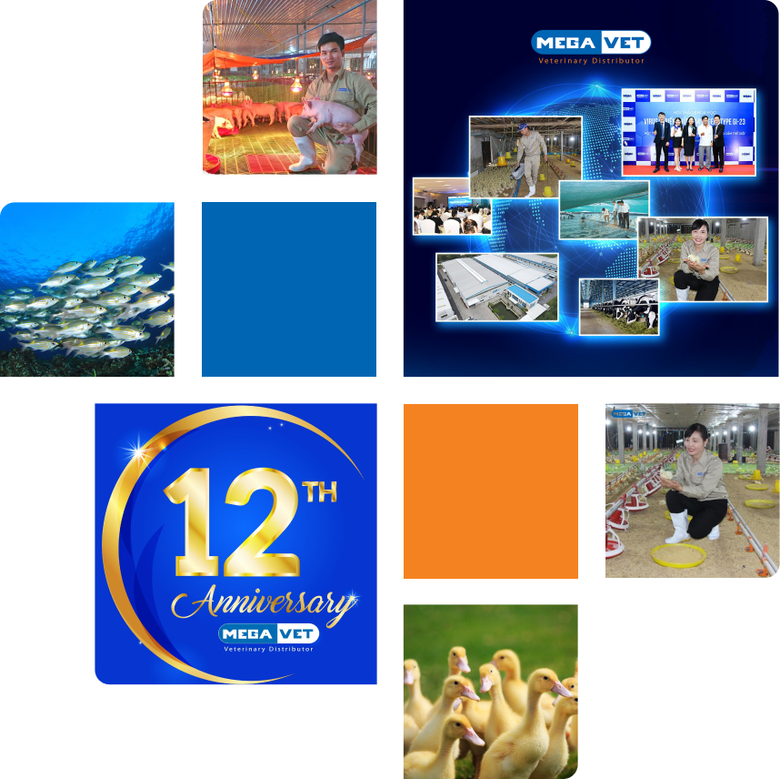 CÔNG TY CỔ PHẦN THÚ Y MEGAVET VIỆT NAM