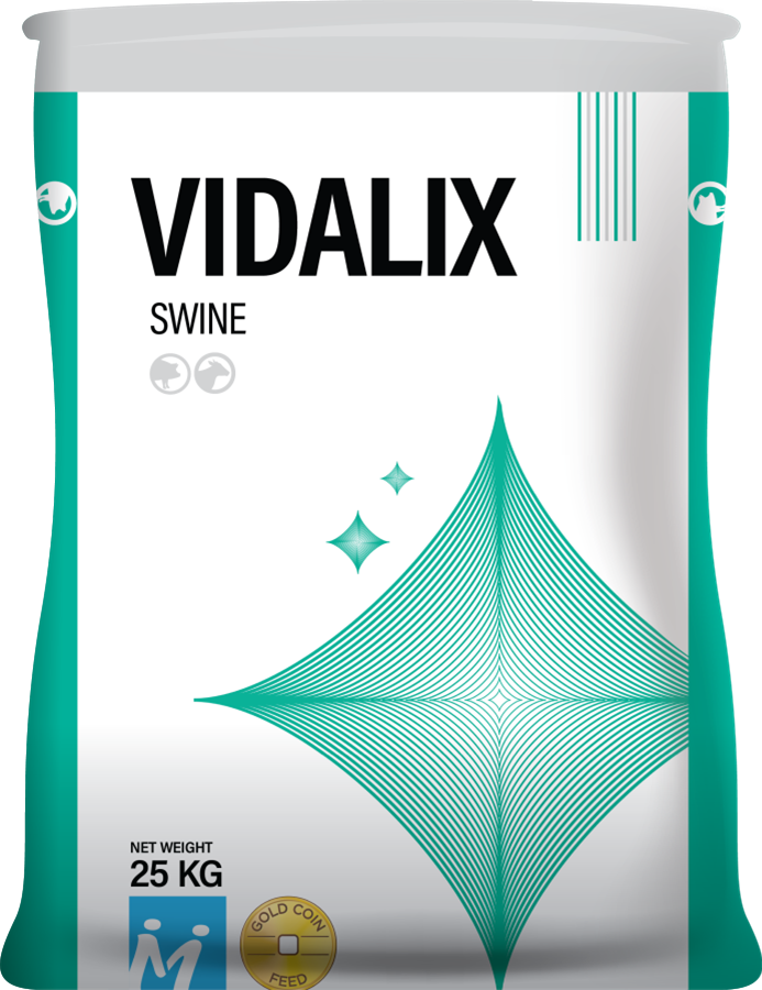 Vidalix  Swine - Bột lăn, Chất làm khô giúp tạo ra môi trường khỏe mạnh cho vật nuôi  theo cách tự nhiên